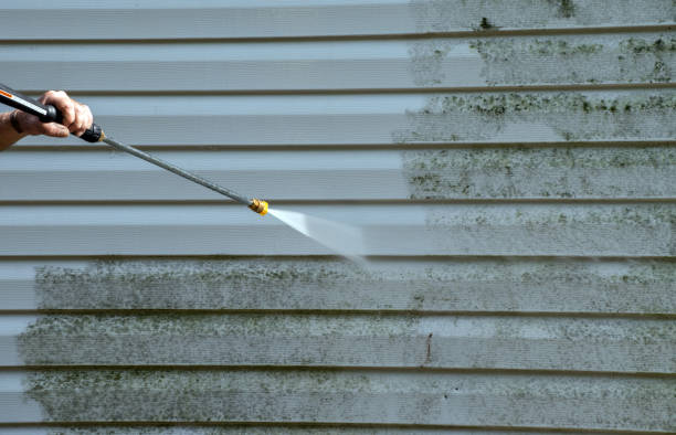 Best Fence Cleaning  in Elk Ridge, UT